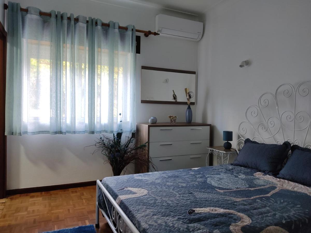 Casa Dos Avos Villa Vouzela Luaran gambar